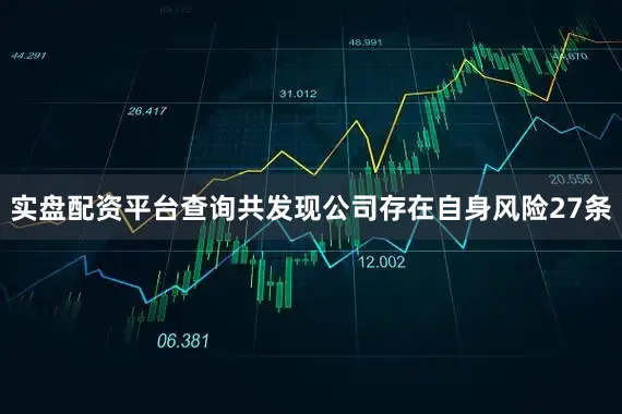 实盘配资平台查询共发现公司存在自身风险27条